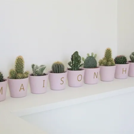 Maison Hb Holiday home *